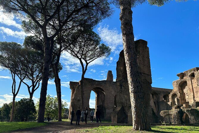 Ancient Rome Discovery: Colosseum, Forum, Palatine Guided Tour - Roman Forum: Where Politics and Commerce Lived (and Where You Walk the Same Lines)
