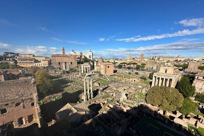 Ancient Rome Discovery: Colosseum, Forum, Palatine Guided Tour - Palatine Hill: Imperial Homes, Lavish Lifestyles, and View-Focused Walking