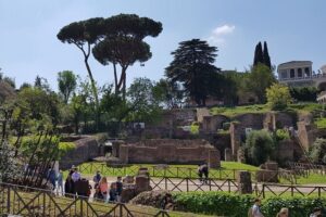 Colosseum Arena Floor Roman Forum and Palatine Hill Live Guide - Roman Forum and Palatine Hill: Where Rome Started