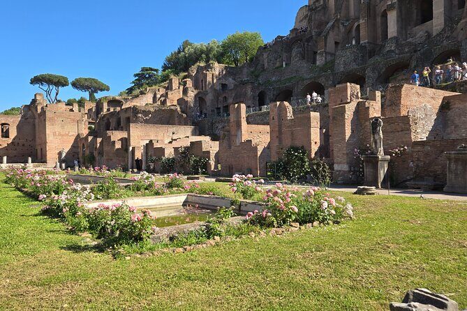 Colosseum Arena Floor, Roman Forum & Palatine Hill Guided Group Tour - Palatine Hill: Augustus-era power with a built-in viewpoint