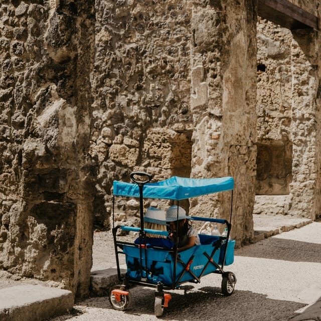Discover Pompeii: French Walking Tour of the Buried City - Key things you should know before you go