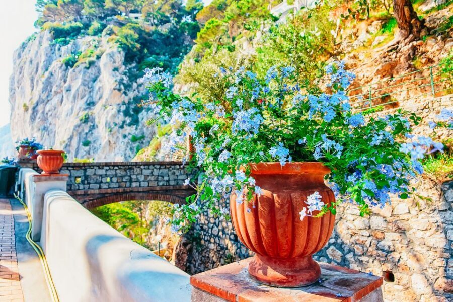 From Naples: Capri and Blue Grotto Day Tour - Mamma Mia Road viewpoints: where the drive becomes the attraction