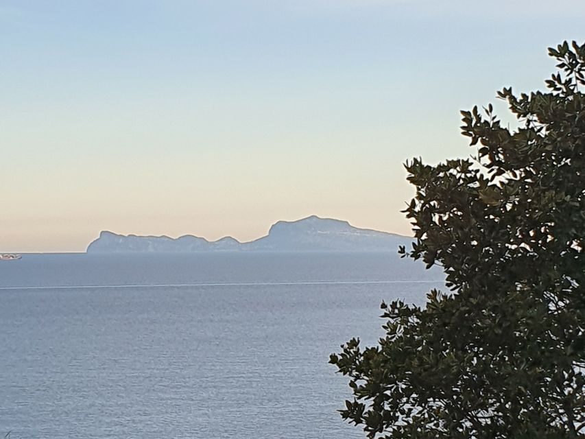 From Naples: Capri Day Trip with Lunch - Key Things To Know Before You Go