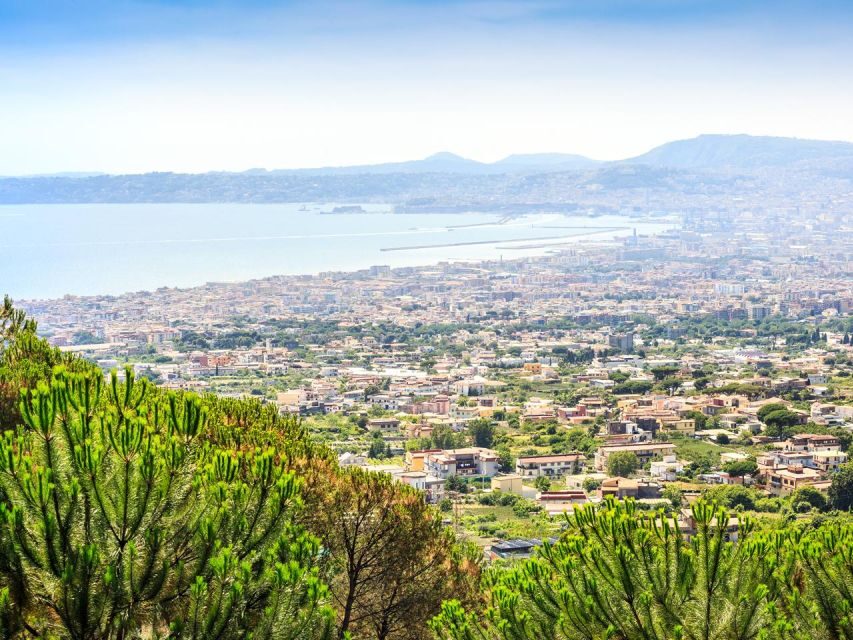 From Naples: Mount Vesuvius Transfer with Entry Tickets - Vesuvius from Naples: The easy plan that actually works