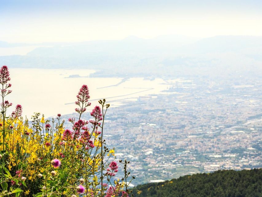 From Naples: Mount Vesuvius Transfer with Entry Tickets - Do you get a guide? What optional volcanology help means