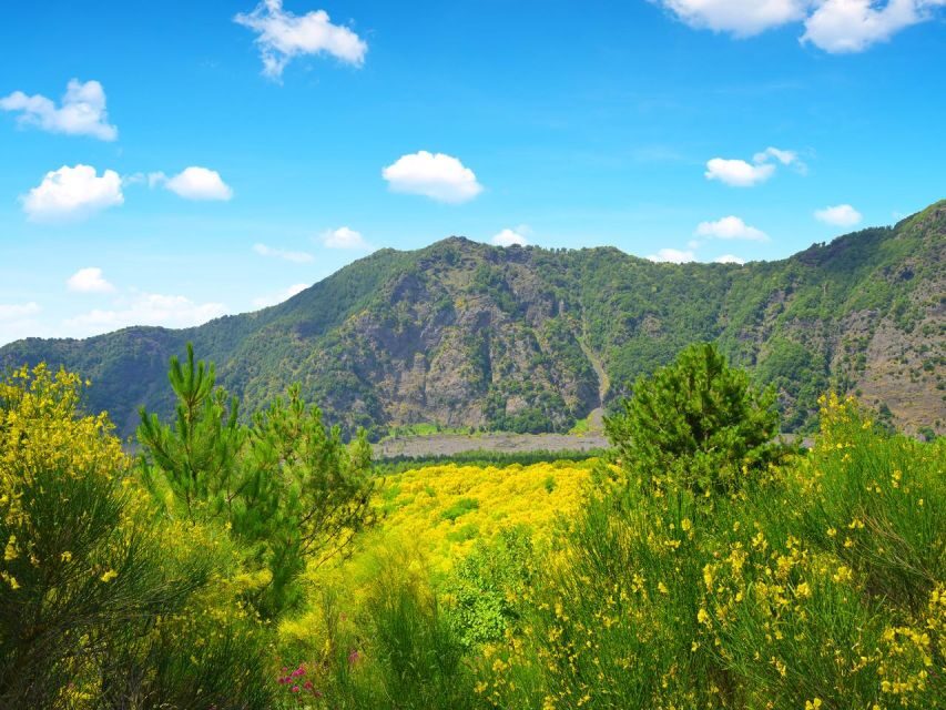From Naples: Mount Vesuvius Transfer with Entry Tickets - Views of the Bay of Naples and Amalfi Coast: plan for the light