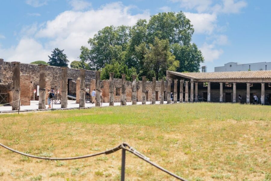 From Naples: Pompeii Ruins & Mount Vesuvius Day Tour - Price and Value Check for $120.84