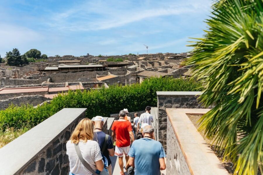 From Naples: Pompeii Ruins & Mount Vesuvius Day Tour - Lunch at Pompeii: Pizza, a Drink, and a Quick Reality Check
