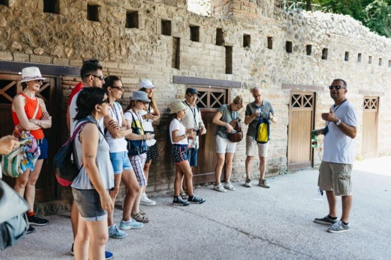 From Naples: Pompeii Ruins & Mount Vesuvius Day Tour - Naples Pickup to Pompeii: Transfers, Timing, and What to Expect