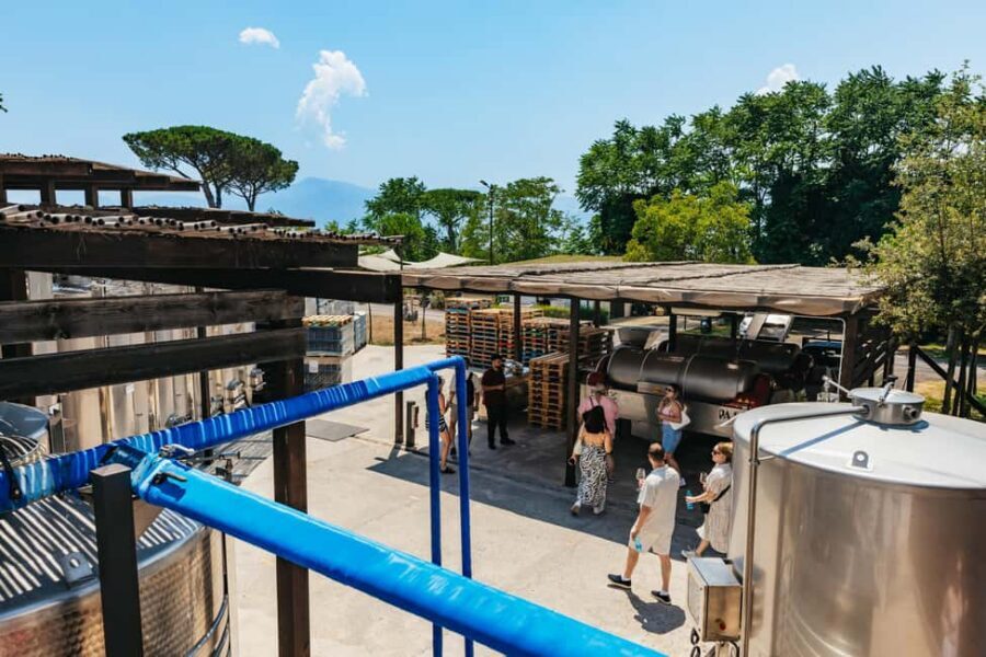 From Naples: Wine Tasting Tour on Vesuvius Slopes with Lunch - Views of Naples and Sorrento: why this isn’t just about wine
