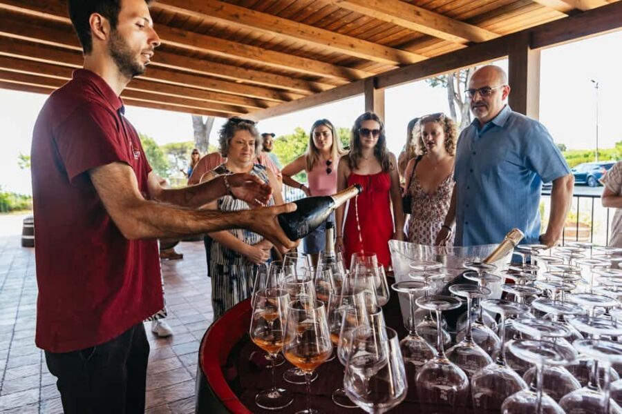 From Naples: Wine Tasting Tour on Vesuvius Slopes with Lunch - Shopping at the farm store: buy bottles, or just take the vibe