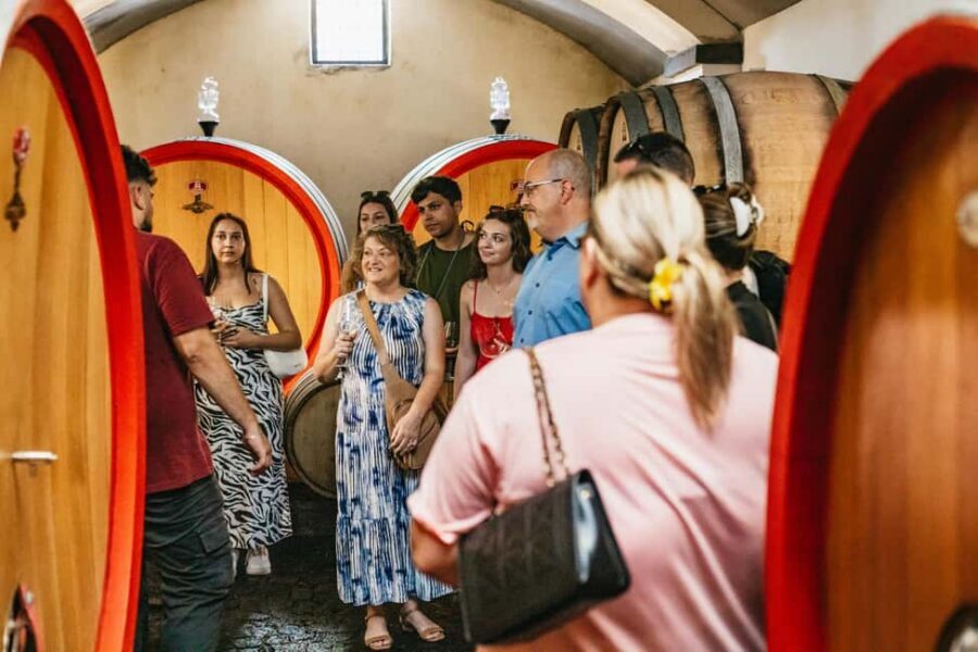 From Naples: Wine Tasting Tour on Vesuvius Slopes with Lunch - Who should book this Vesuvius wine-and-lunch tour