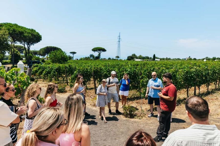 From Naples: Wine Tasting Tour on Vesuvius Slopes with Lunch - Good to know before you go