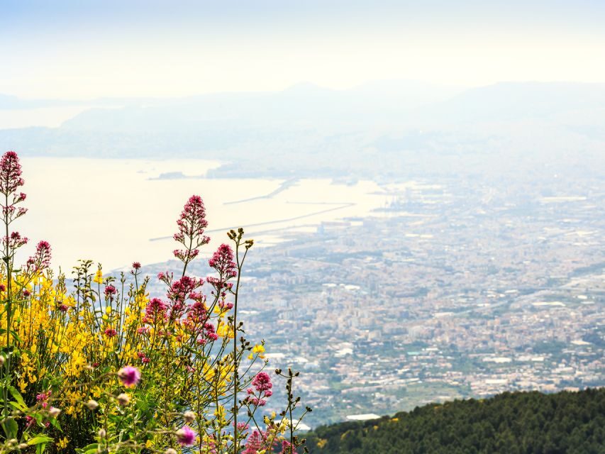 From Pompeii: Bus Transfer to Vesuvius with Park Entry Fee - Pompeii to Vesuvius by bus: why this setup works