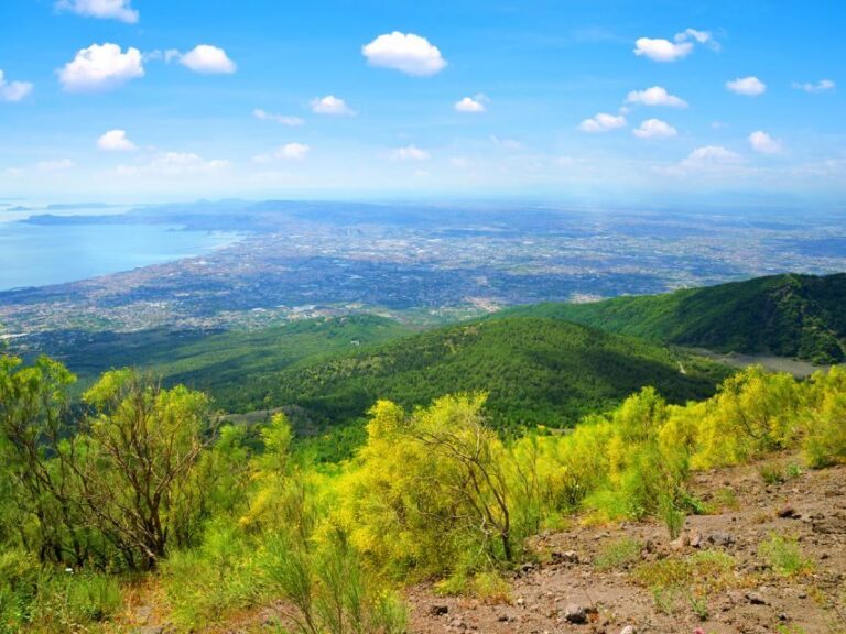 From Pompeii: Bus Transfer to Vesuvius with Park Entry Fee - The bus ride from Via Roma 32: comfort and timing