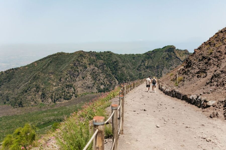From Rome: Pompeii Day Trip with Optional Vesuvius and Lunch - Meeting points in Rome: where you’ll start and where you’ll end