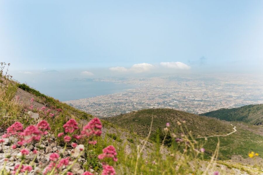 From Rome: Pompeii Day Trip with Optional Vesuvius and Lunch - Optional lunch with Bay of Naples views: when to add it