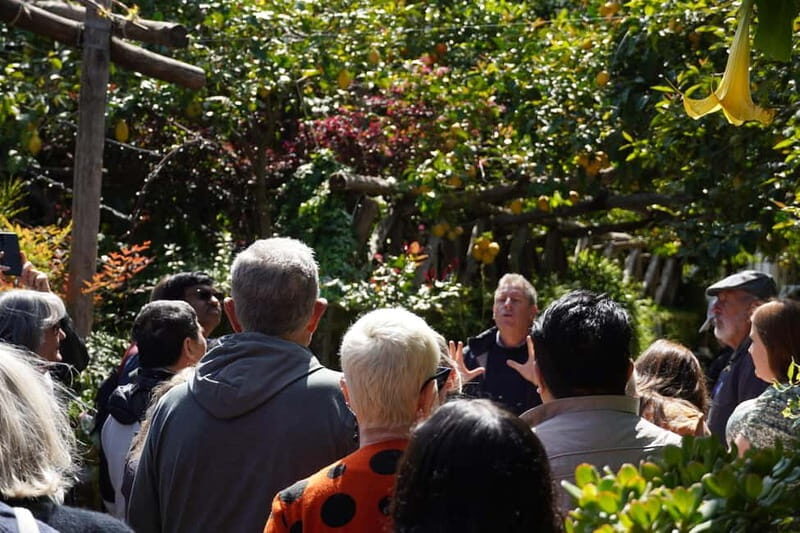 From Rome: Sorrento & Pompeii Day Trip with Guide or Ticket - Sorrento Stop: 2 Hours to Wander, Plus Limoncello Tasting