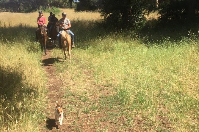 Horse Sanctuary & Trail Ride in Ostia Antica - Starting at Cavalieri di Gaia: Where Your 3 Hours Really Begin