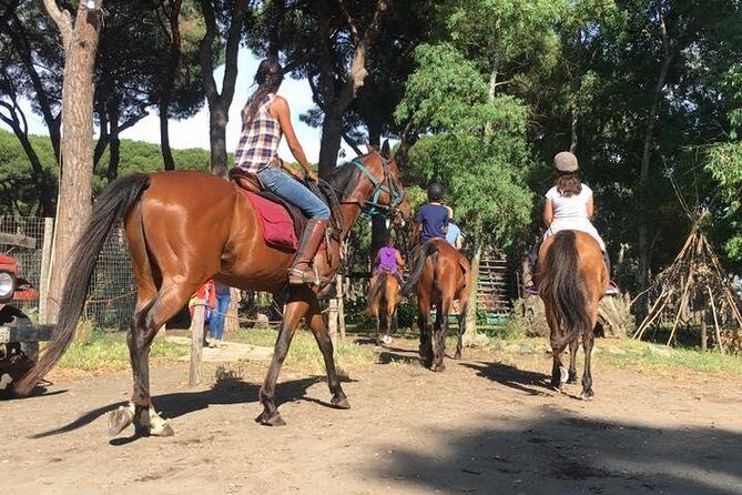 Horse Sanctuary & Trail Ride in Ostia Antica - Who This Tour Is Best For (and Who Might Want to Skip)
