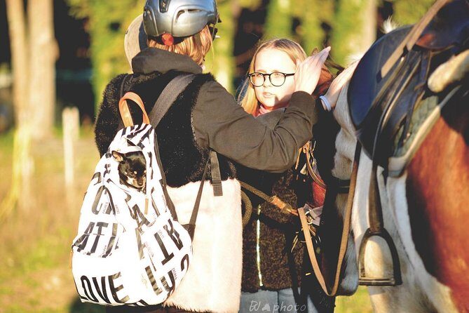 Horse Sanctuary & Trail Ride in Ostia Antica - Price and Logistics: What You’re Really Paying For