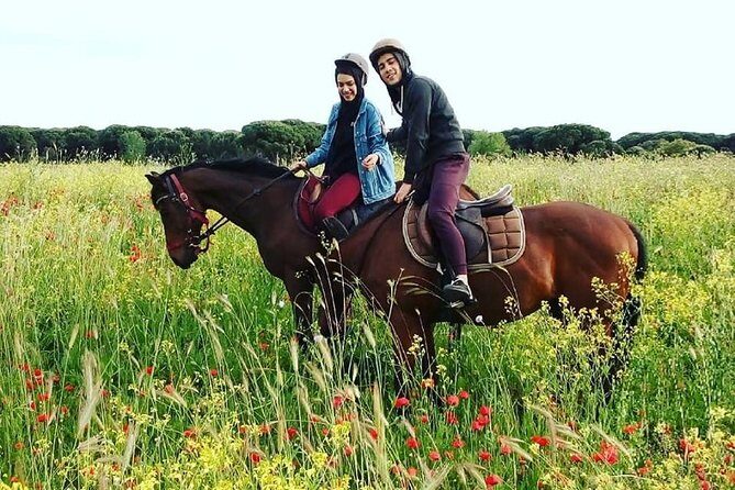 Horse Sanctuary & Trail Ride in Ostia Antica - The Trail Ride Near Ostia Antica: Why It Feels Different