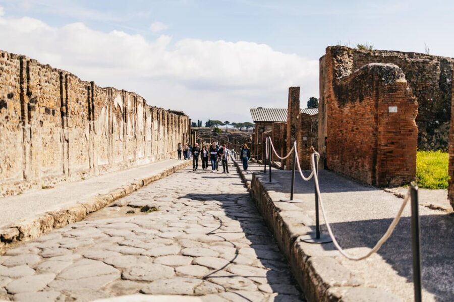 Naples: Pompeii and Mt. Vesuvius with Lunch and Wine Tasting - Key Highlights Worth Putting on Your Short List