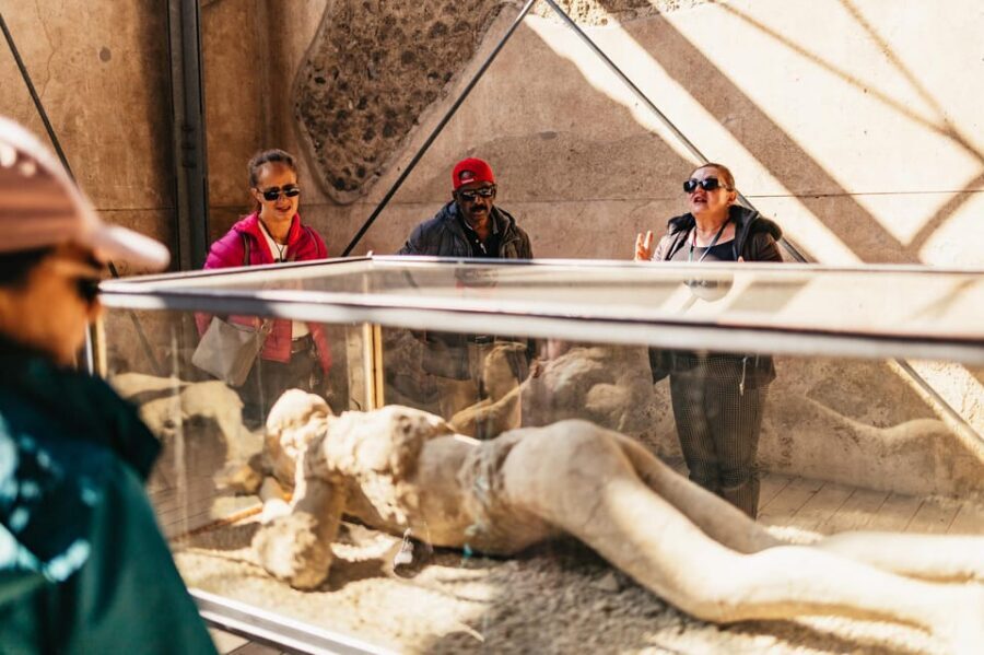 Naples: Pompeii and Mt. Vesuvius with Lunch and Wine Tasting - Naples Pickup and Transport: The Part That Saves Your Day