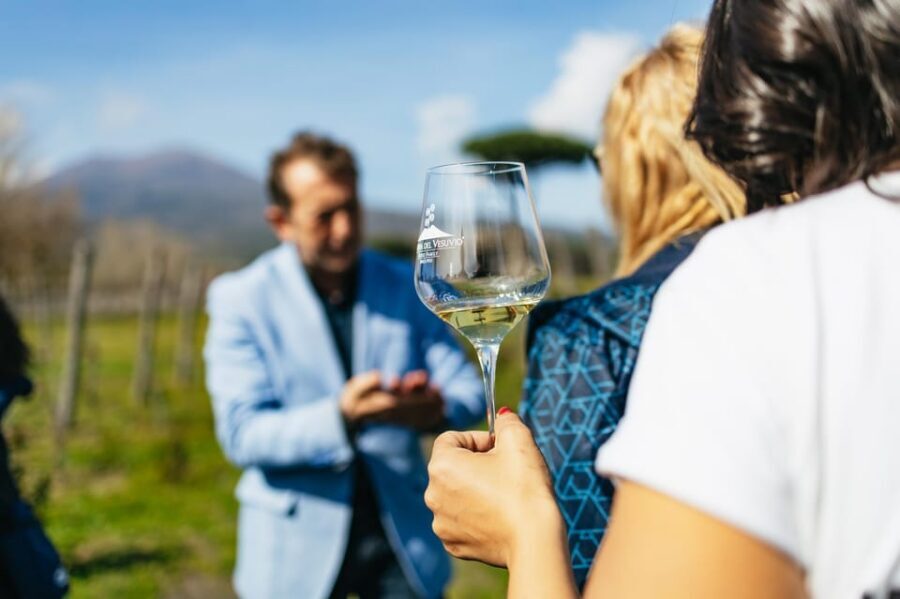 Naples: Pompeii and Mt. Vesuvius with Lunch and Wine Tasting - Pompeii With a Real Specialist: Streets, Homes, and Everyday Life