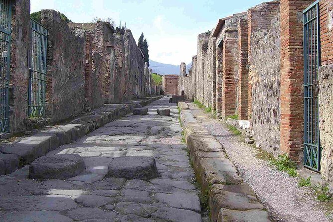 Naples Shore Excursion: Pompeii Half Day Trip from Naples - The Shared Minibus Schedule (and Why It Can Feel Slower)