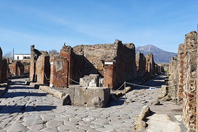 Naples: Tour of Mt Vesuvius and Pompeii w/ Lunch & Wine tasting - Pompeii Archaeological Park: two hours that actually work
