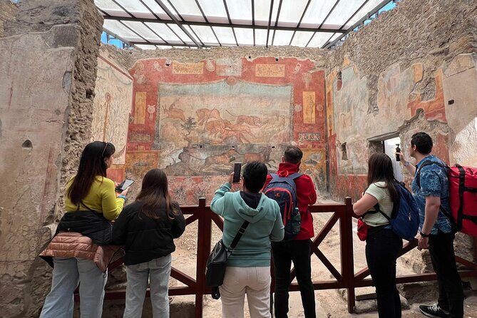 Naples: Tour of Mt Vesuvius and Pompeii w/ Lunch & Wine tasting - Vesuvius National Park and the crater walk: what to expect