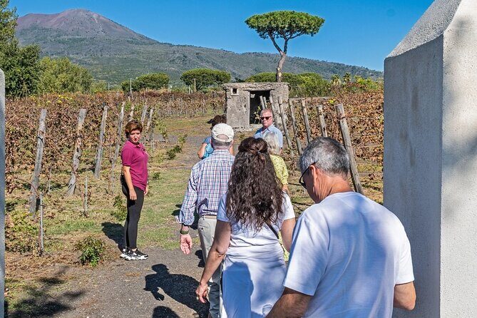 Naples: Tour of Mt Vesuvius and Pompeii w/ Lunch & Wine tasting - Should you book it?