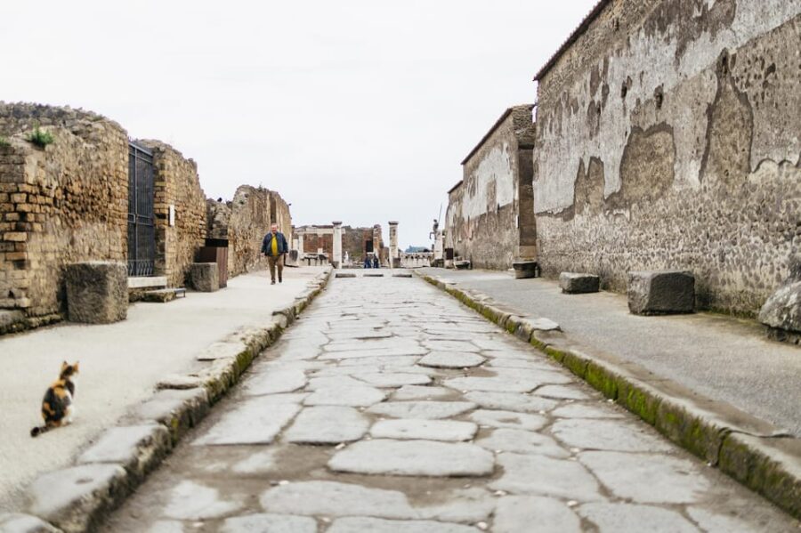 Pompeii: Afternoon to Sunset Guided Tour with Ticket - How the guide makes the ruins make sense (and keeps you from burning out)