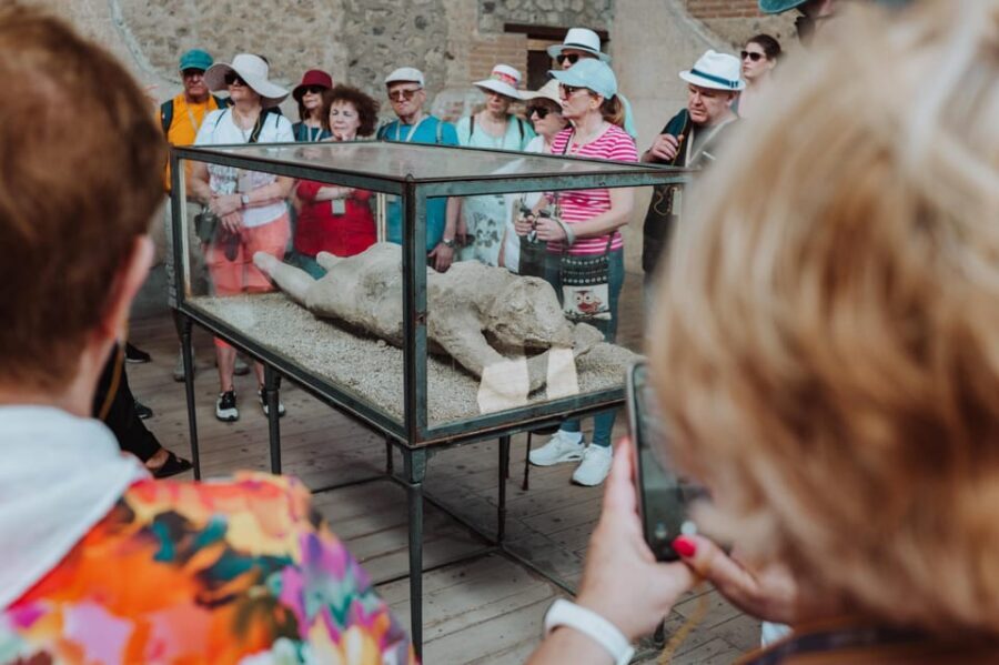 Pompeii: Entry Ticket and Guided Tour with an Archaeologist - Price and value: how $35 pencils out