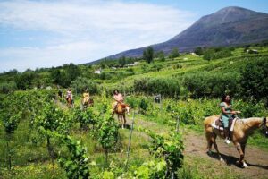 Pompeii Guided Tour & Horse Riding on Vesuvius with Lunch - Lunch and Wine in the Vesuvius National Park: The Meal That Makes the Long Day Work