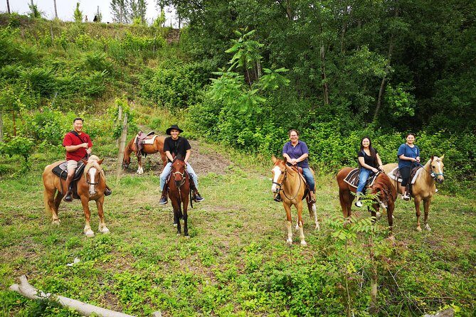 Pompeii Guided Tour & Horse Riding on Vesuvius with Lunch - Who This Tour Fits Best (And Who Should Reconsider)