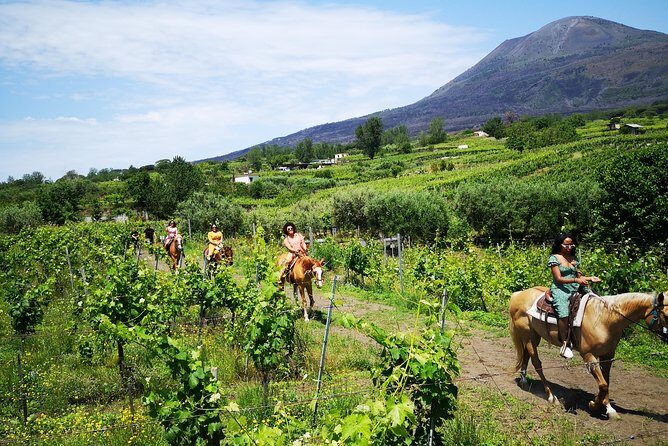 Pompeii Guided Tour & Horse Riding on Vesuvius with Lunch - Lunch and Wine in the Vesuvius National Park: The Meal That Makes the Long Day Work