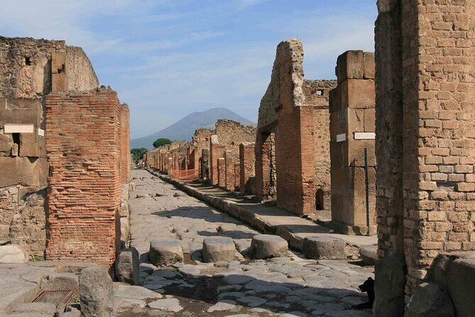 Pompeii & Herculaneum Day Trip from Naples with Lunch - Pompeii and Herculaneum: the best one-day pairing