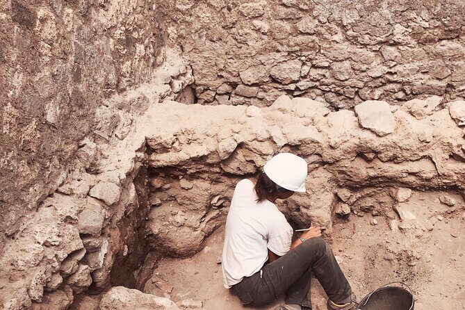 Pompeii Private Tour with an Archaeologist and Skip The Line - Forum Energy: Granaries, Markets, Jupiter, and the Basilica