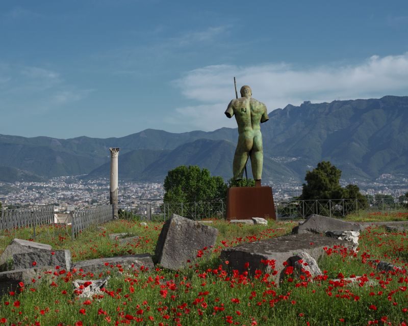 Pompeii: Skip-the-Line Entry Ticket with Digital Guide App - Price and Logistics: What You’re Paying For