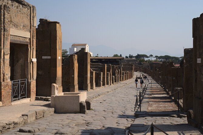 Pompeii Tour & Lunch with Wine Tasting Experience - Price and value: where the money goes