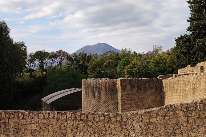 Pompeii: Tour with Archaeologist Guide & Skip-the-Line Entry - What an archaeologist guide adds (and why it matters)