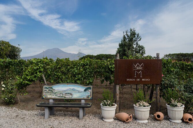 Pompeii Vineyard Escape: Private Wine Tasting & Lunch - Why a Pompeii vineyard escape feels like a smart detour