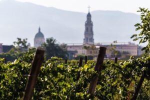 Pompeii Vineyard Escape: Private Wine Tasting & Lunch - What’s actually included (and what you should not assume)