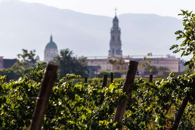 Pompeii Vineyard Escape: Private Wine Tasting & Lunch - What’s actually included (and what you should not assume)