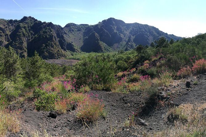 Private Day Tour to Vesuvius, Herculaneum & Pompeii with Pick Up - Herculaneum: better preserved, and it changes how the story lands