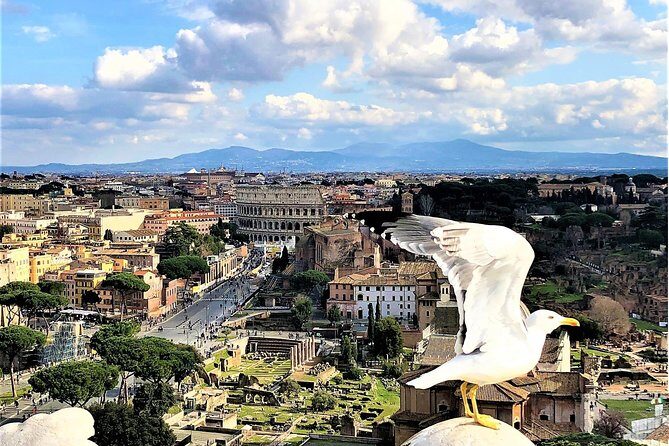 Private Rome WOW Tour in 1 Day: Luxury Car, Guide, Tkts & Lunch! - Getting picked up and moving fast in Rome