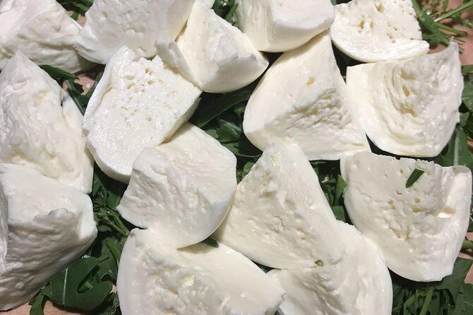 Roman Food Tour with Visit to the Trionfale Food Market - Back to La Nicchia: Balsamic Vinegar, Truffles, Pesto, and the Flavor Lessons