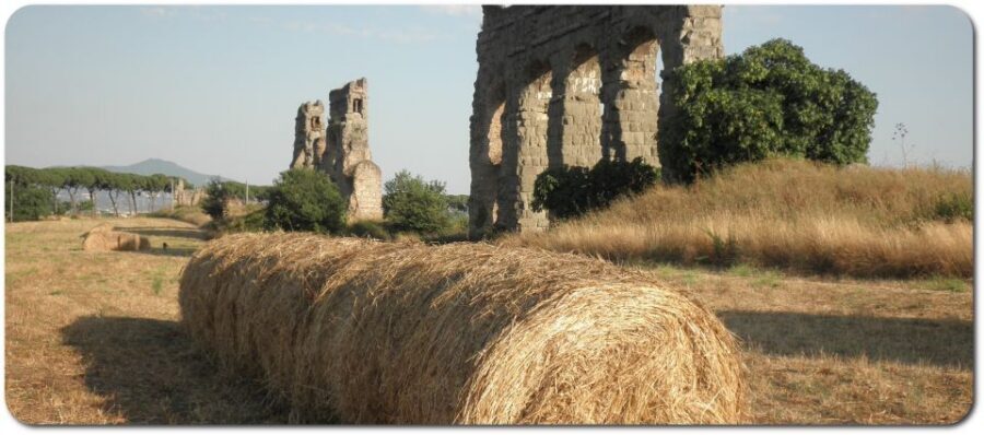 Rome: Appian Way E-Bike Tour Catacombs, Aqueducts & Picnic - Key highlights worth circling